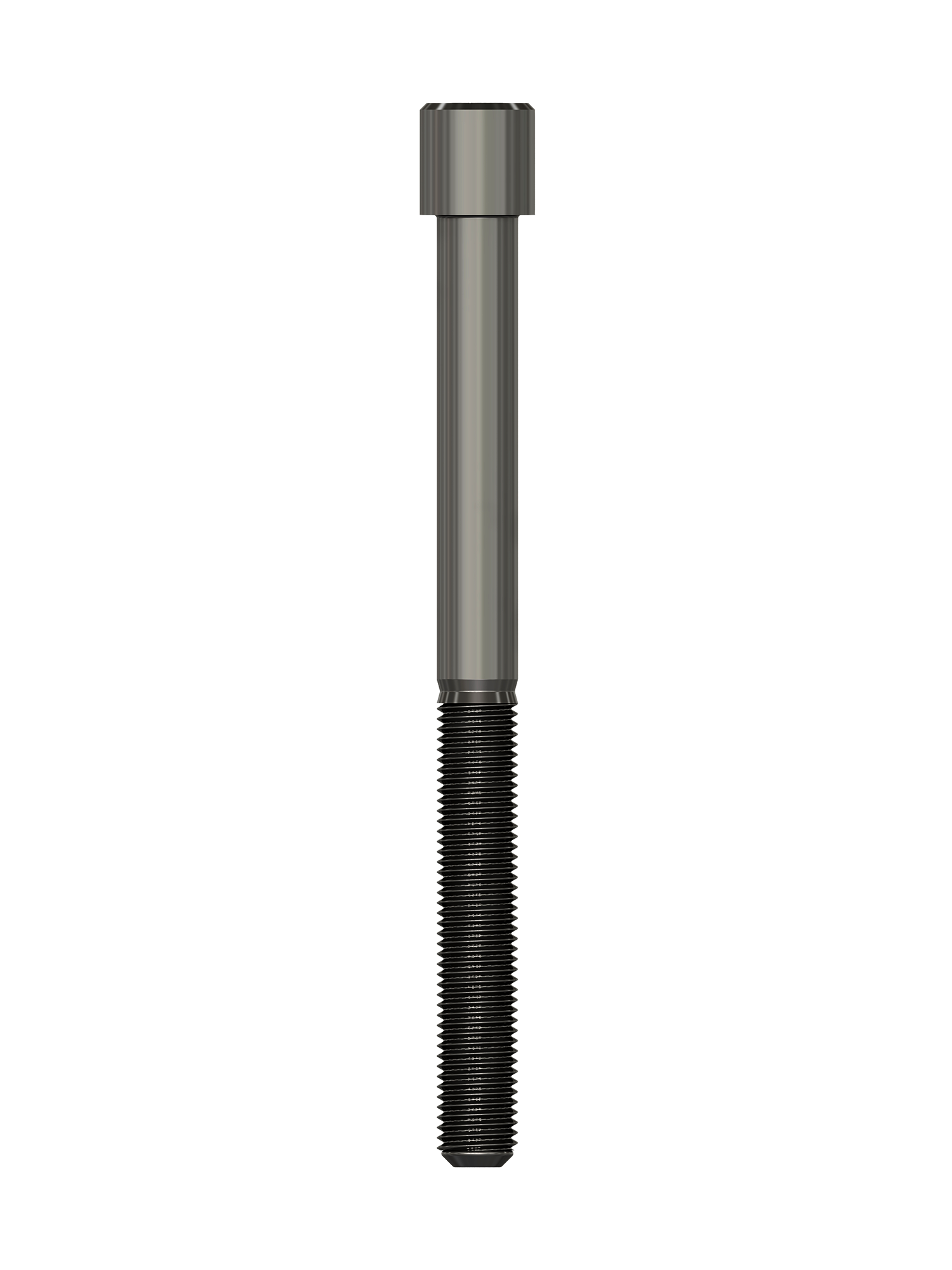 pino-CA - 2