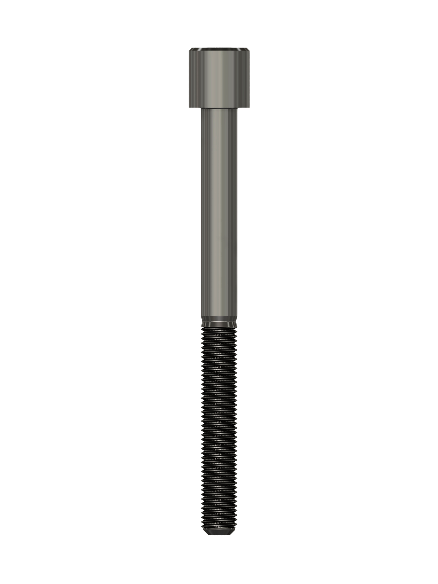 pino-CAL - 2