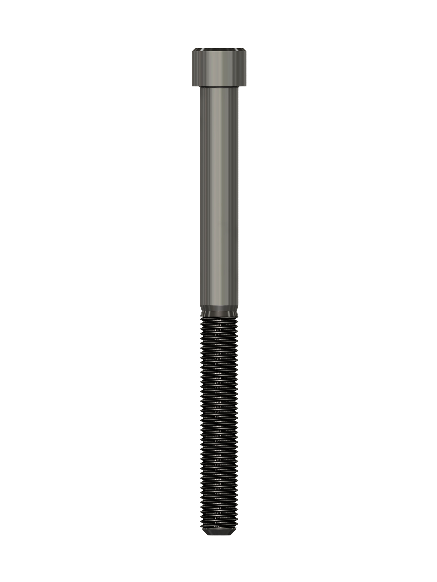 pino-CB - 2