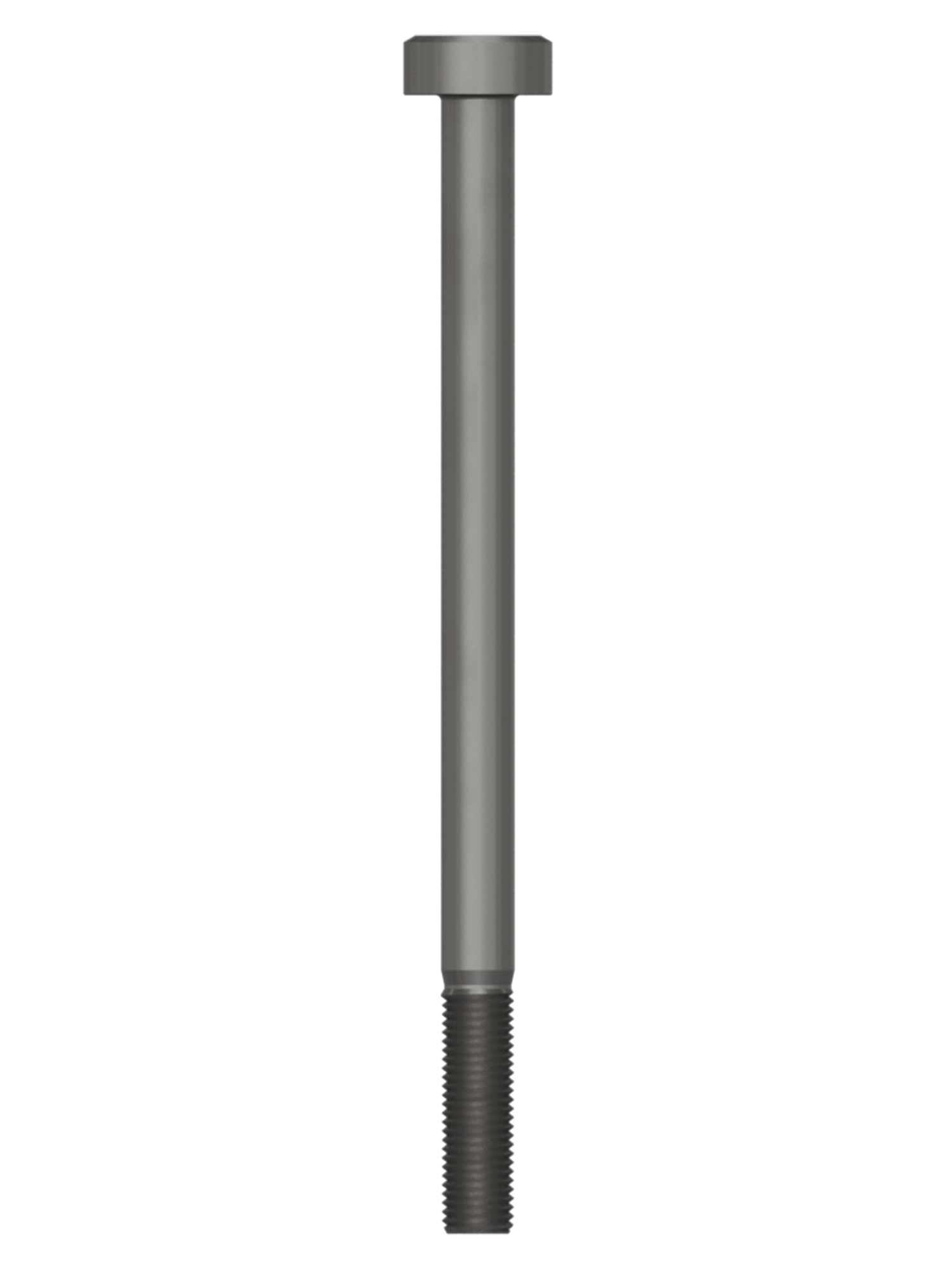 pino-CBL - 2