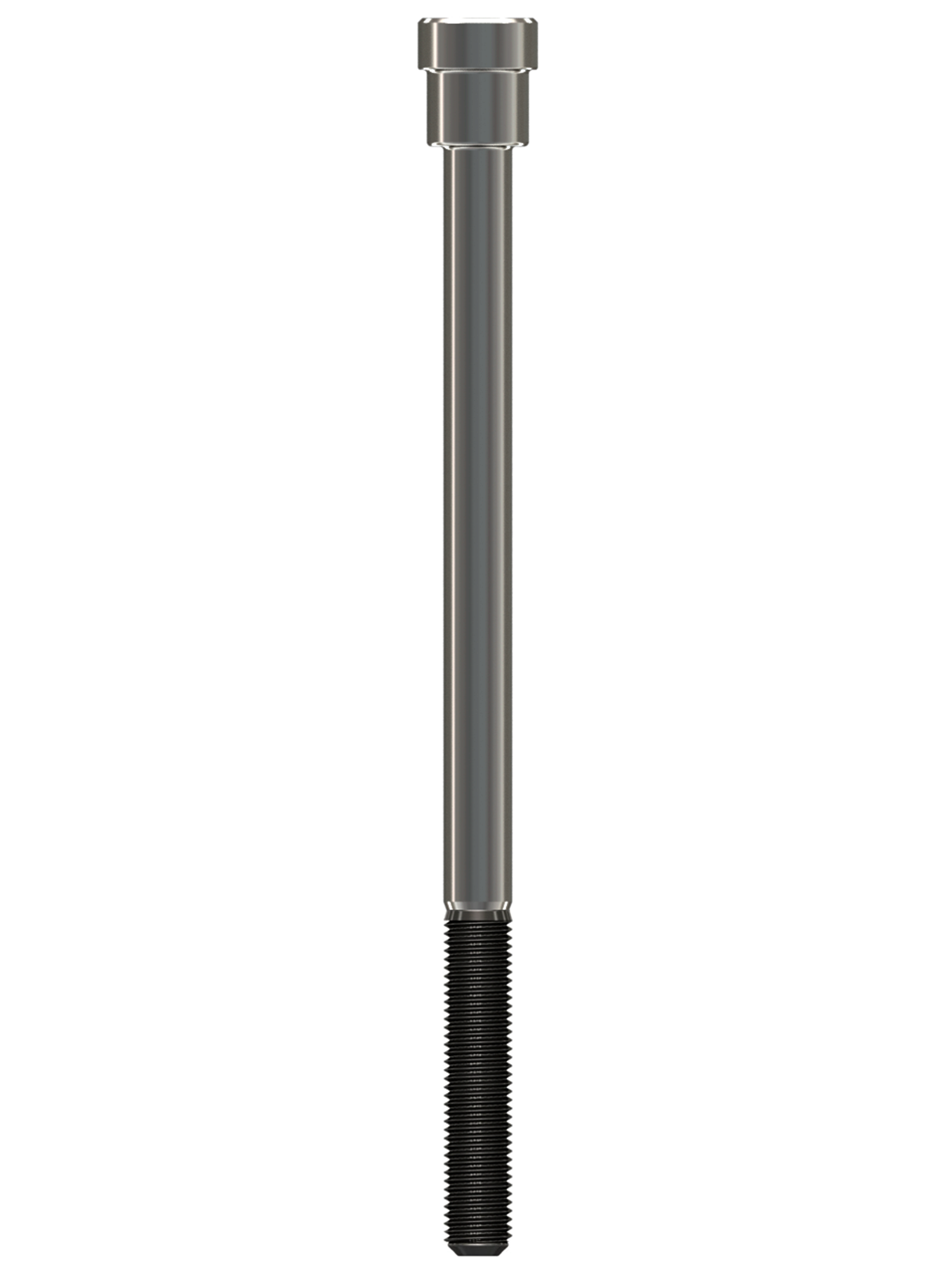 pino-CD - 2