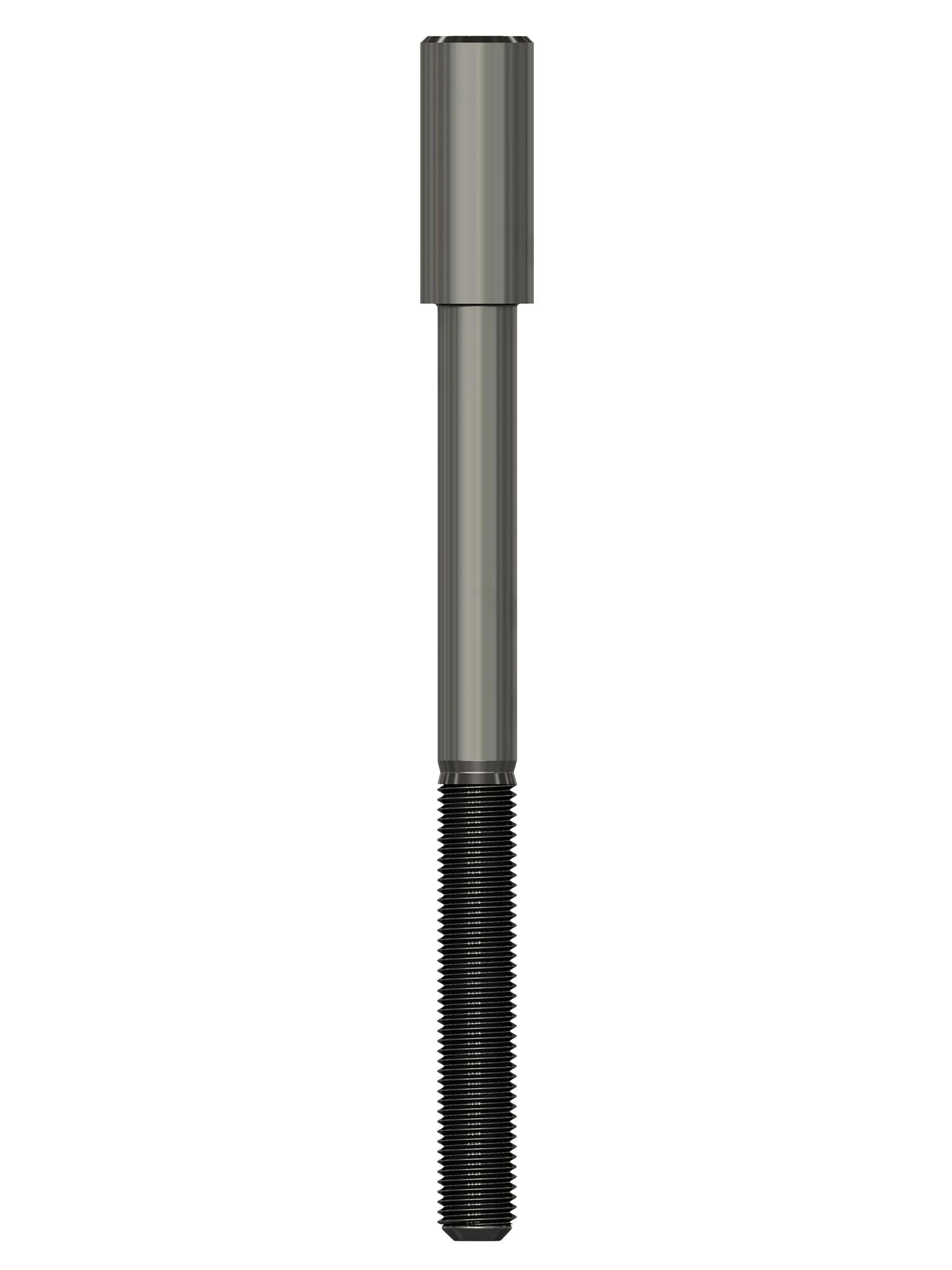 pino-CEA - 2