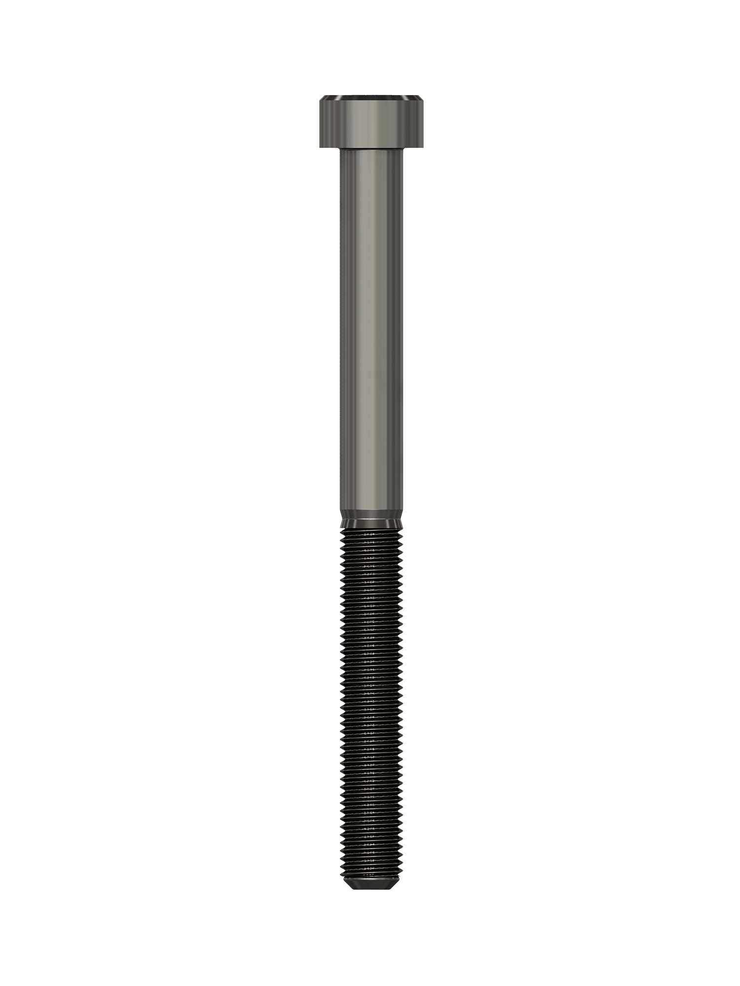 pino-CL - 2