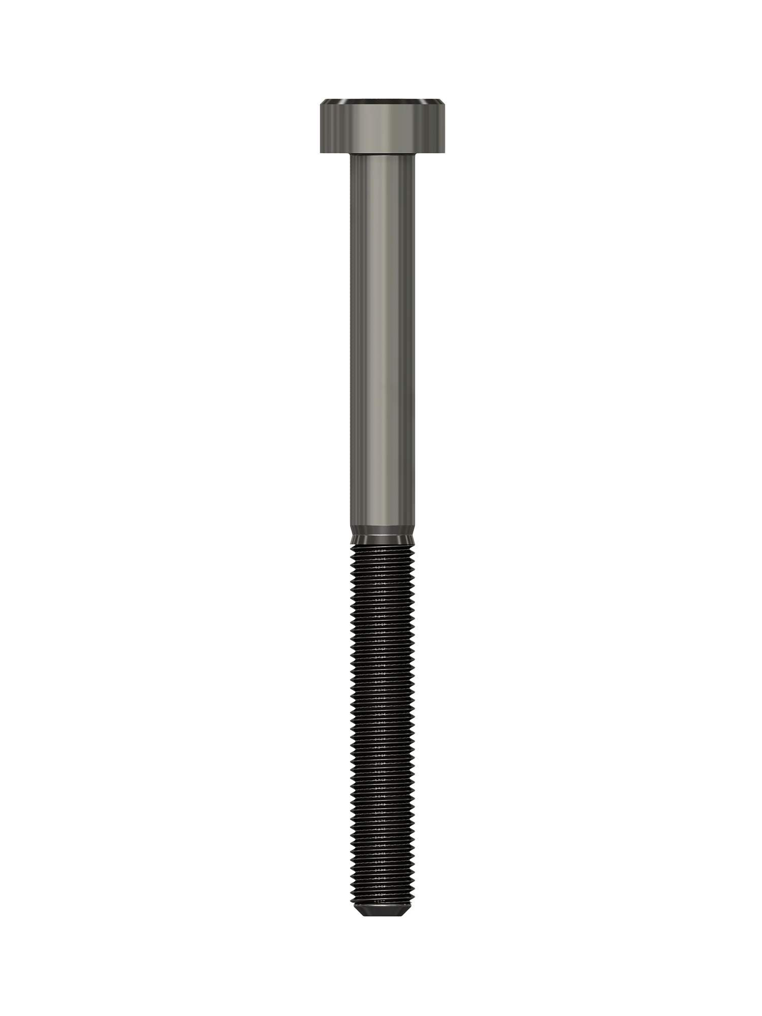 pino-CLE - 2